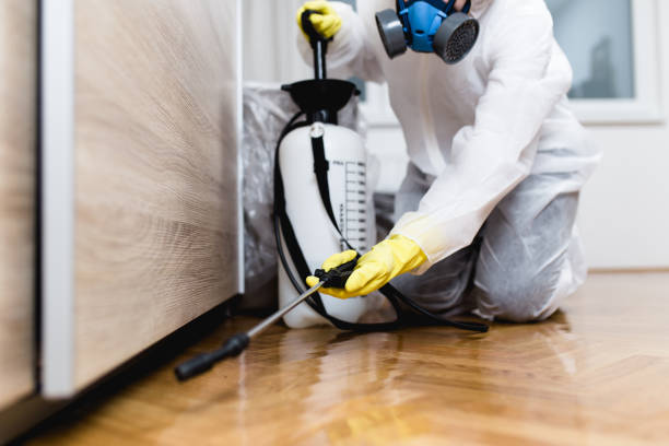 Best Bed Bug Extermination  in Rockland, ME