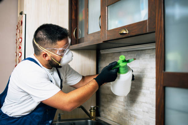 Best Mosquito Control Services  in Rockland, ME