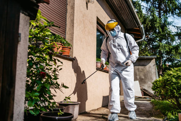 Best Cockroach Control Services  in Rockland, ME