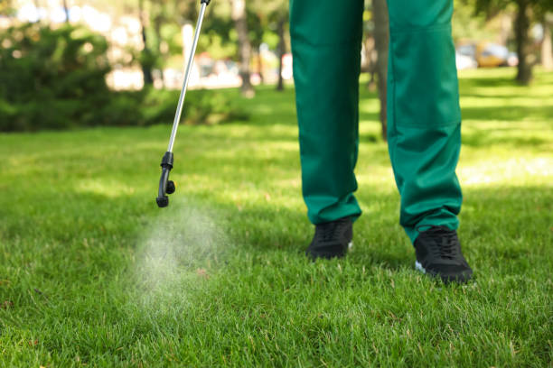 Best Ant Control Services  in Rockland, ME