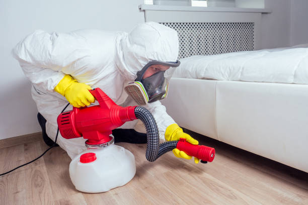 Pest Control Cost in Rockland, ME